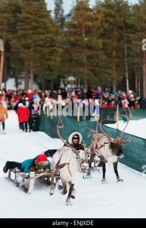 Popolazione Sami al festival invernale, gara di renne, Jokkmokk, Lapponia, a nord del circolo polare artico, Svezia, Scandinavia, Europa Foto Stock