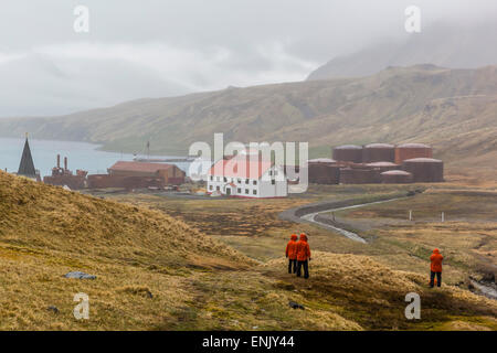 Panoramica dell'abbandonata la stazione baleniera di Grytviken Harbour, Georgia del Sud e le regioni polari Foto Stock