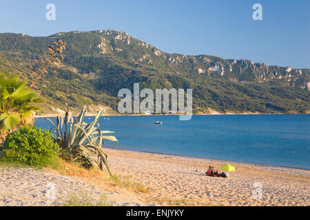 Vista su tutta la baia di pendio boschivo, inizio sera, Agios Georgios, CORFU, ISOLE IONIE, isole greche, Grecia, Europa Foto Stock