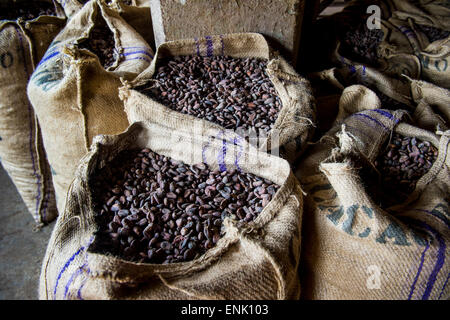 Sacchi pieni di semi di cacao, piantagione di cacao Roca Aguaize, East coast di Sao Tome, Sao Tome e Principe, Oceano Atlantico, Africa Foto Stock