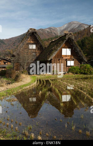Gassho-zukuri folk houses, Ogimachi village, Shirakawa-go, near Takayama, Central Honshu, Japan, Asia Foto Stock