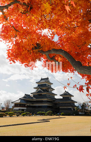 Matsumoto-jo il legno (castello) in autunno, Matsumoto, Central Honshu, Giappone, Asia Foto Stock