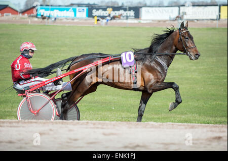 Cablaggio racing a Mantorp race course in Svezia Foto Stock