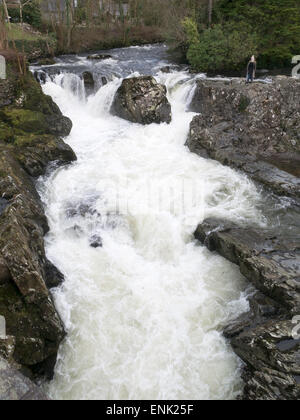 Cascata, Fiume Llugwy, Betws-y-Coed, Conwy, il Galles del Nord Foto Stock