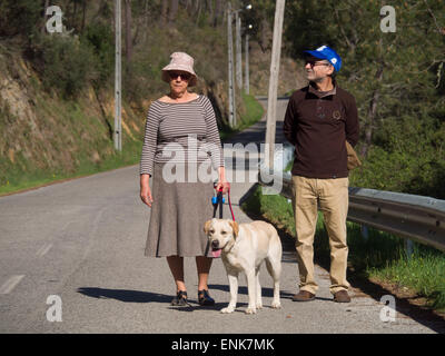 I vecchi donna e uomo a camminare un giallo labrador retriever in una giornata di sole Foto Stock