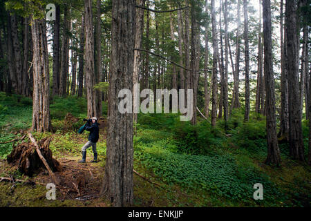 Uomo di scattare una foto in una foresta pluviale temperata sui fratelli isole tra il passaggio di Stephens e Frederick Suono. Alexander Arc Foto Stock