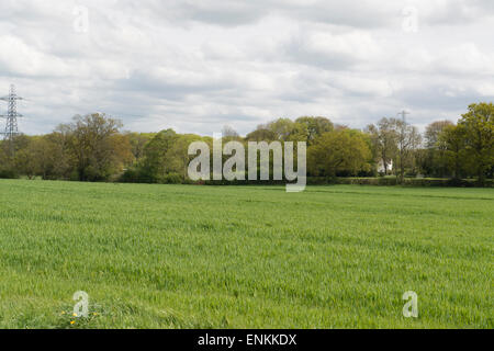 Proposta di sito di taglio sul percorso di HS2 Railway Londra a Birmingham con casa t o essere demolita a sud Heath Buckinghamshire Foto Stock