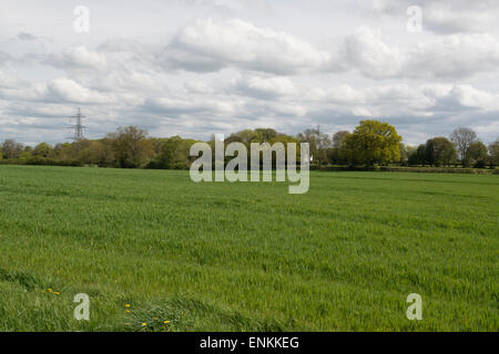 Proposta di sito di taglio sul percorso di HS2 Railway Londra a Birmingham a sud Heath Buckinghamshire Foto Stock