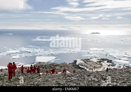 Toruists ad una colonia di pinguini Adelie (Pygoscelis adeliae) Robbia scogliere Penisola Antartica Antartide Foto Stock
