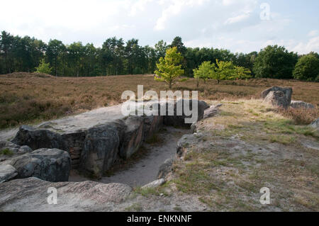 Tomba megalitica, Oldendorfer Totenstatt, Lueneburger Heide, Bassa Sassonia, Germania Foto Stock