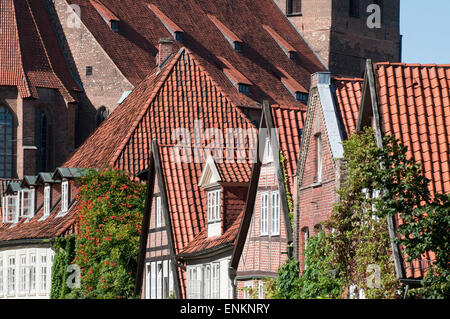 Haeuser in der Altstadtgasse auf dem Meere mit St. Michaelis, Altstadt, Lueneburg, Niedersachsen, Deutschland | Case in stree Foto Stock