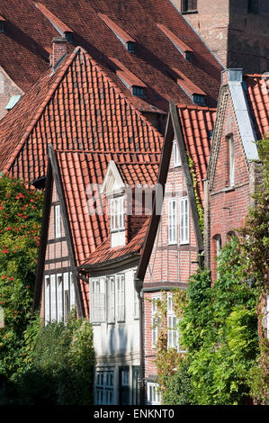 Haeuser in der Altstadtgasse auf dem Meere mit St. Michaelis, Altstadt, Lueneburg, Niedersachsen, Deutschland | Case in stree Foto Stock