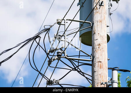 Impianto elettrico, telefono e i fili del cavo su un polo utilità in una città di Oklahoma, Oklahoma, Stati Uniti d'America quartiere. Foto Stock