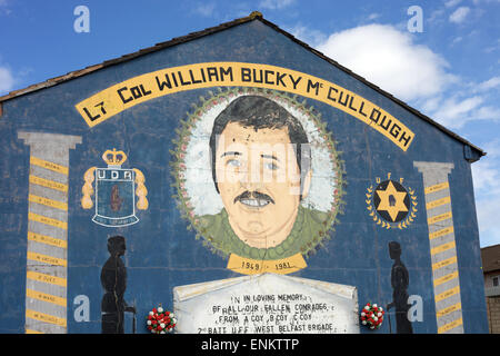 Murale politico su una casa a Belfast. Foto Stock