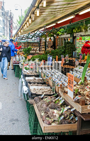 Negozio di fiori, Bloemenmarkt, Amsterdam, Paesi Bassi Foto Stock