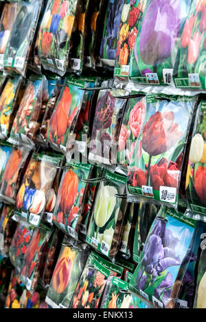 Flower imballaggi di sementi, Bloemenmarkt, Amsterdam, Paesi Bassi Foto Stock