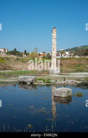 Il Tempio di Artemide ad Efeso in Turchia. Una delle sette meraviglie del mondo antico. Foto Stock