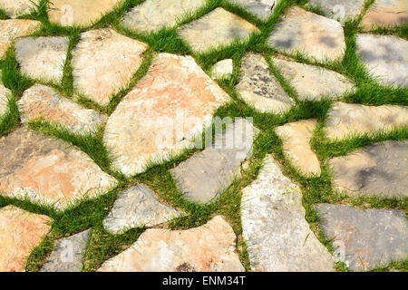 Stone path in green grass garden pattern elevated view on sunny day Foto Stock