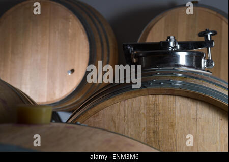 Botti accatastate in cantina e vigneti di Bordeaux, Francia Foto Stock