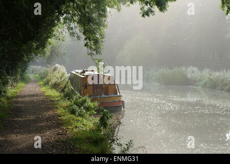 Percorso di traino ed una stretta barca ormeggiato sulle rive del Kennet & Avon Canal e alberato su un luminoso misty tarda mattinata estiva vicino Foto Stock