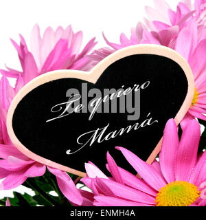 Frase te quiero mama, ti amo mamma in spagnolo, scritto con gesso su una a forma di cuore sulla lavagna un profumo di rosa chrysan Foto Stock