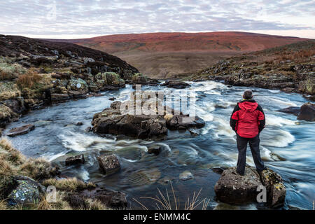 Fiume Tees, Calderone muso, Teesdale, County Durham, Regno Unito. 8 maggio 2015. Regno Unito Meteo. Era una fredda ma luminosa per iniziare la giornata come il sorgere del sole ha iniziato ad illuminare Mickle cadde in Teesdale superiore. Il Fiume Tees è al suo normale livello di estate, sebbene il cloud è previsto in aumento e focolai di localmente heavy rain sono attesi verso tardo pomeriggio e continuerà per tutta la notte. Credito: David Forster/Alamy Live News Foto Stock