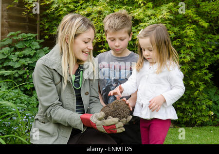 La Madre che mostra a due anni e la figlia di nove-anno-vecchio figlio di un Riccio, Erinaceus europaeus, nel giardino. Sussex, Regno Unito. Maggio. Foto Stock