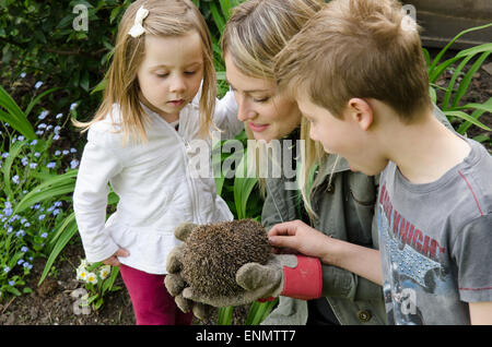 La Madre che mostra a due anni e la figlia di nove-anno-vecchio figlio di un Riccio, Erinaceus europaeus, nel giardino. Sussex, Regno Unito. Maggio. Foto Stock