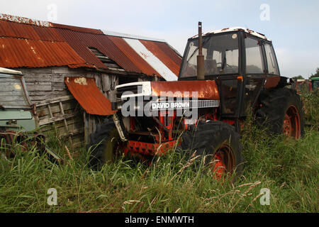 Vecchio arrugginito trattori David Brown e versato a Egton spettacolo agricolo nel North Yorkshire Foto Stock