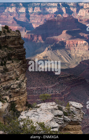 Canyon dalla roccia di anatra si affacciano, South Rim, il Parco Nazionale del Grand Canyon, Arizona. Foto Stock