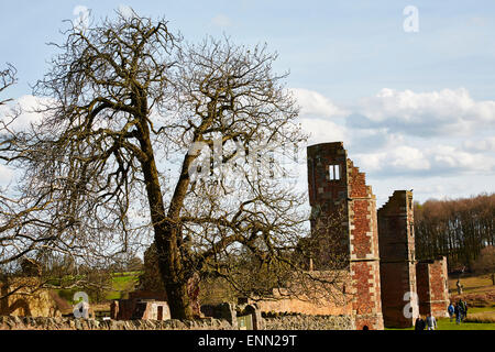 Albero di grandi dimensioni tra le rovine di Glenfield Lodge House di Glenfield Lodge Park, Leicestershire, Inghilterra, Regno Unito. Foto Stock