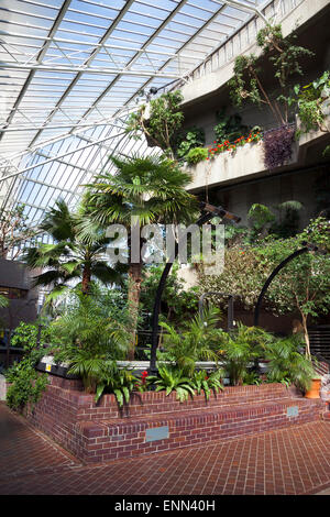 Conservatorio di Barbican all'interno del Barbican Centre di Londra, Inghilterra Foto Stock