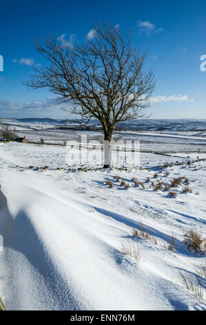 Scena invernale vicino a due volte prodotta Foto Stock