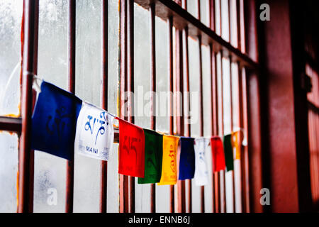 Bandiere di preghiera nella finestra all'interno di Dunggon Samten Choling Gompa, Ghum, Darjeeling. Foto Stock
