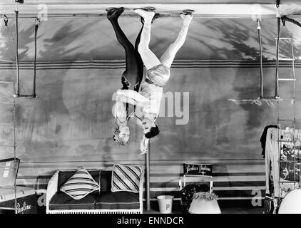 Al circo, USA 1939, aka: Die Marx Brothers im Zirkus, Regie: Edward Buzzell, Darsteller: Groucho Marx, Eve Arden Foto Stock