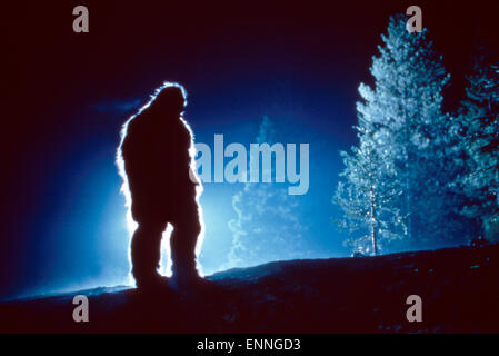 Bigfoot: l'indimenticabile incontro, aka: Bigfoot - Mein großer Freund, USA 1994, Regie: Corey Michael Eubanks, Darsteller: Gar Foto Stock