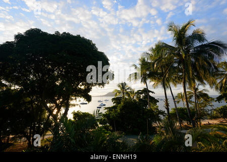 Fitzroy Island, Queensland, Australia Foto Stock