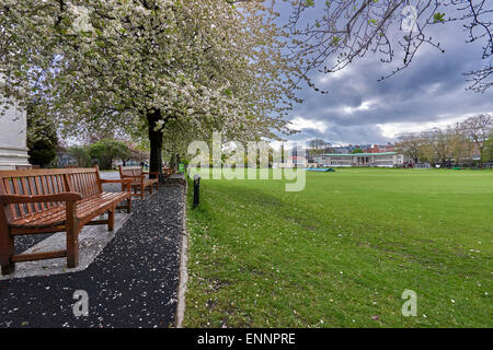 Il Trinity College di Dublino Irlanda Foto Stock