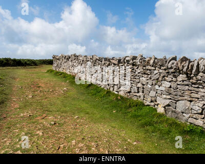 Calcare muretti a secco sulla Penisola di Gower, Galles Foto Stock