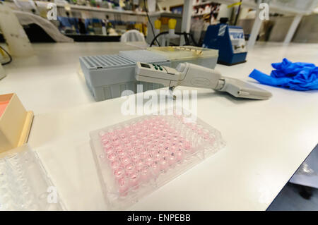 Vassoio per i campioni di stampa essendo preparato mediante una pipetta multicanale erogatore in un cancro del laboratorio di ricerca Foto Stock