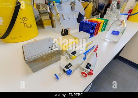 Pipette sul banco di un cancro del laboratorio di ricerca Foto Stock