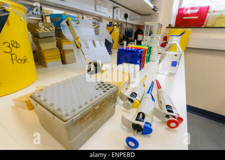 Pipette sul banco di un cancro del laboratorio di ricerca Foto Stock