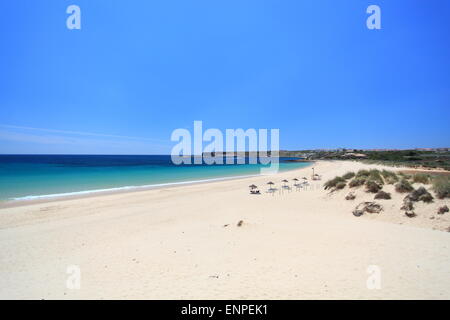 Guardando lungo la spiaggia di Praia do Martinhal in Algarve in Portogallo. Foto Stock