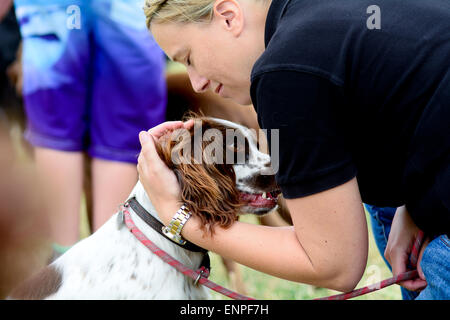English Springer spaniel e proprietario di essere affettuoso a soli Springers Rescue dog show in Reigate, Surrey, Inghilterra Foto Stock