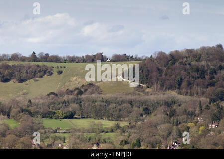 Colley Hill, vicino a Reigate, Surrey, sulla North Downs, Inghilterra, Regno Unito all'inizio della primavera Foto Stock