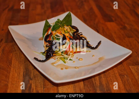 Somtam Scorpion a bug Cafe a Siem Reap, Cambogia Foto Stock