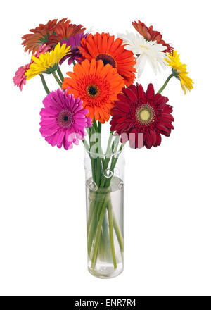 Bouquet da multi colorati fiori di gerbera in vaso di vetro disposizione centrotavola isolati su sfondo bianco. Foto Stock