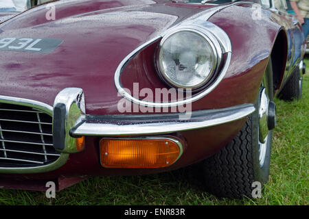 E-type Jaguar parafango anteriore Foto Stock