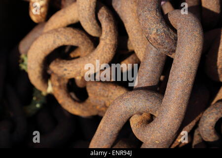 Maglie di catena in rusty catena di ancoraggio, Kaedeled ho rusten ankerkaede Foto Stock