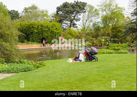 R.H.S. Giardino, Hyde Hall. Foto Stock